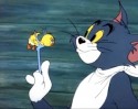 Tom a Jerry (13)