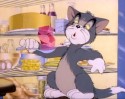 Tom a Jerry (2)