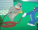 Tom a Jerry (17)