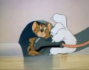 Tom a Jerry (18)