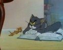 Tom a Jerry (24)