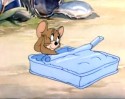 Tom a Jerry (8)