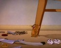 Tom a Jerry (11)
