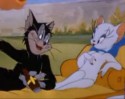 Tom a Jerry (27)