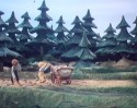 Jája a Pája (2)