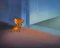 Tom a Jerry (14)