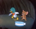 Tom a Jerry (16)