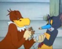 Tom a Jerry (31)
