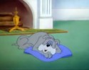 Tom a Jerry (35)